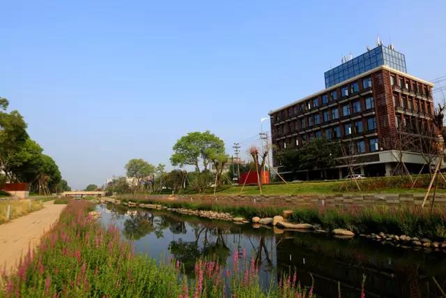 店口镇中央河五水共治工程